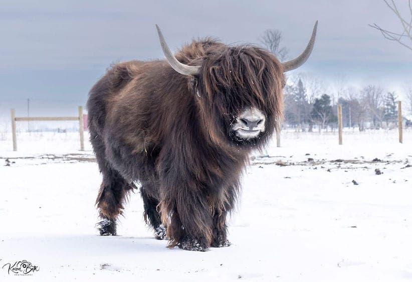 We Found the Best Small Town Coffee Shop